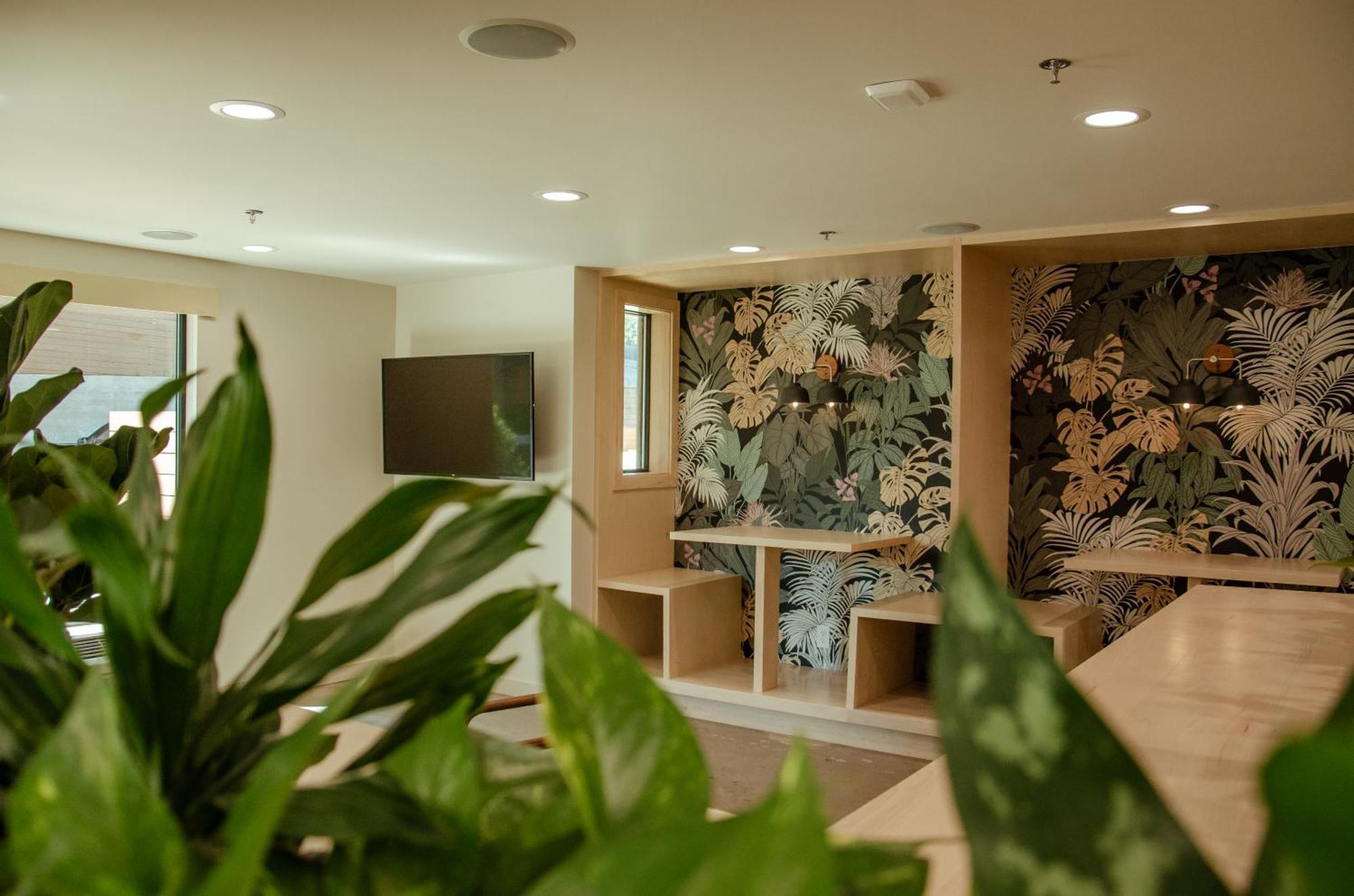 Brut Hotel タルサ エクステリア 写真